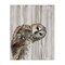 Stupell Industries Peeking Owl's Gaze Canvas, design by Patti Mann